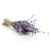 Sapun lichid 3 in 1, cu lavanda si plante BIO, Life Care®