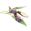 Gel recuperator, Barba Tatei, cu tataneasa si plante BIO, Life Care®