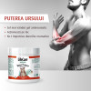 Gel incalzitor, Puterea Ursului®, cu plante BIO, Life Care®