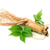 Gel racoritor, Gheara Dracului®, cu plante BIO, Life Care®