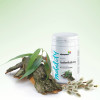 ActiveSalicin, cu extract din scoarta de salcie alba, Life Care®