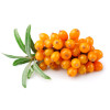 Mix Ecologic antioxidant, cu Graviola, catina si mere, Life Care®