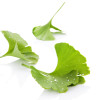 Menopause, cu pulbere de Luminita noptii, Life Care®