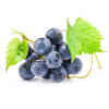 Resveratrol Plus, Life Care®