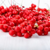 Schizandra BIO, Energizant, Life Care®