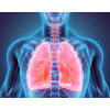 Smokers Aid Detox, cu radacina de arctium si anghinare BIO, Life Care®