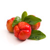 UltimateImmuno, cu acerola si salcie BIO, Life Care®