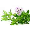 Sirop ECO, cu fenicul si cimbru, Life Care®