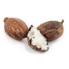 Unt de Shea, natural, Life Care®