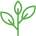 Bio