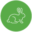 fara teste pe animale